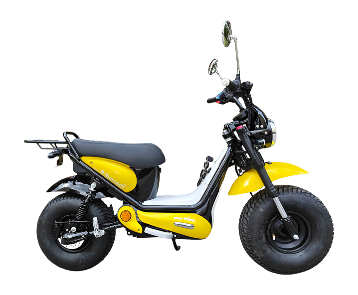 e-bonsaï-coco-jaune